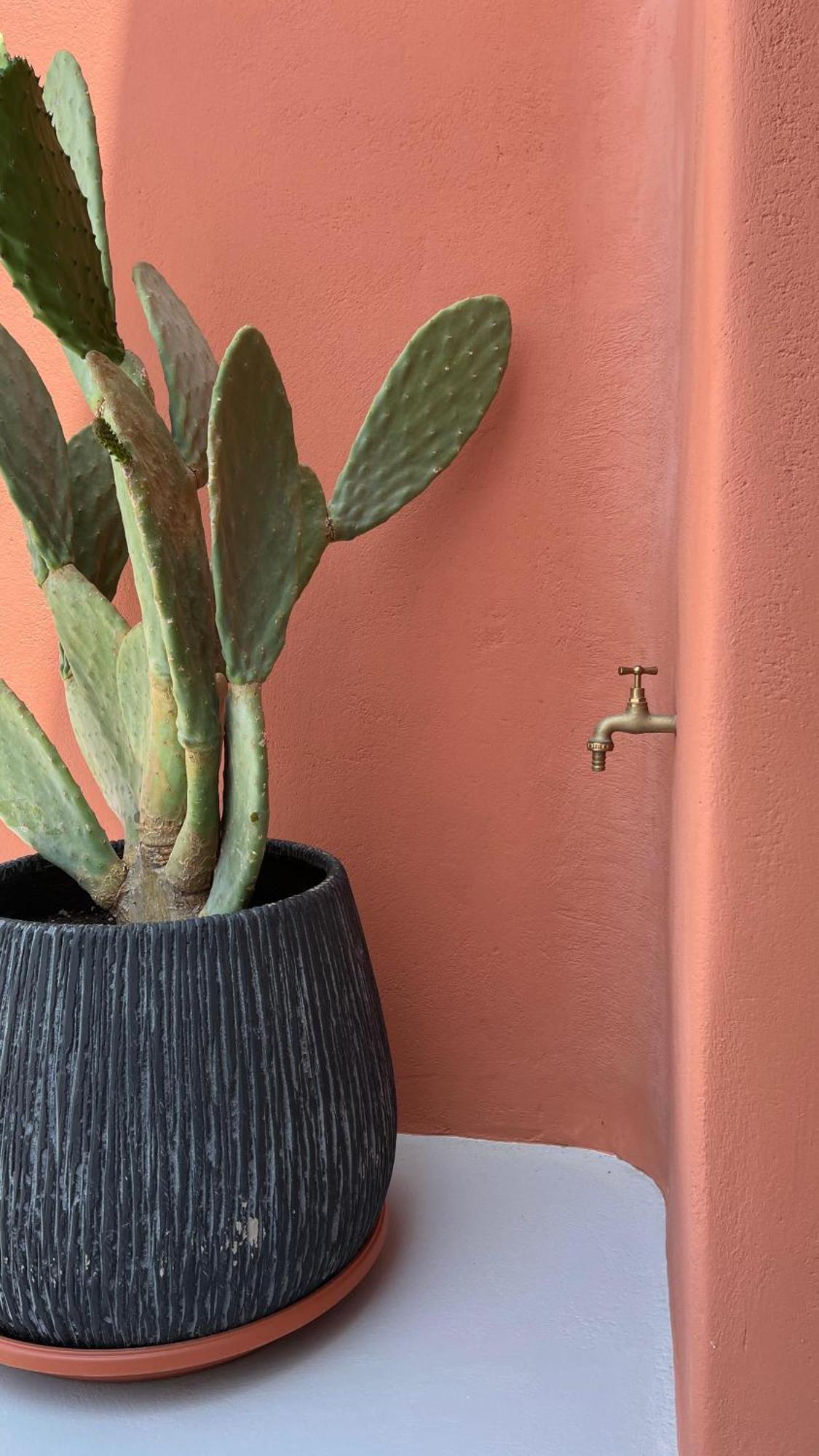 Pink Freud Villas Santorini 伊亚 外观 照片